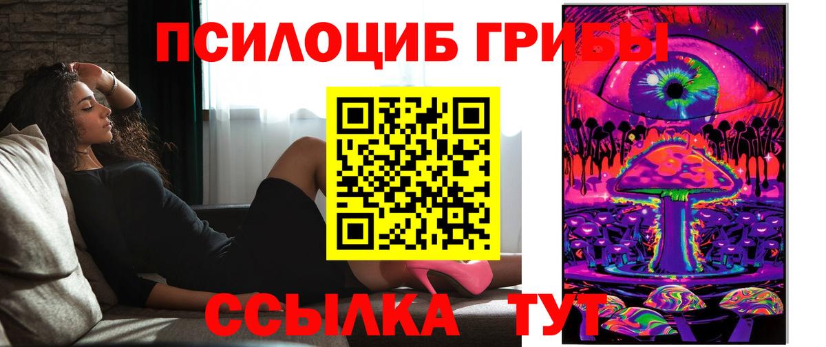 Псилоцибиновые грибы Magic Shrooms  Вход с VPN  продажа наркотиков  Отрадный 